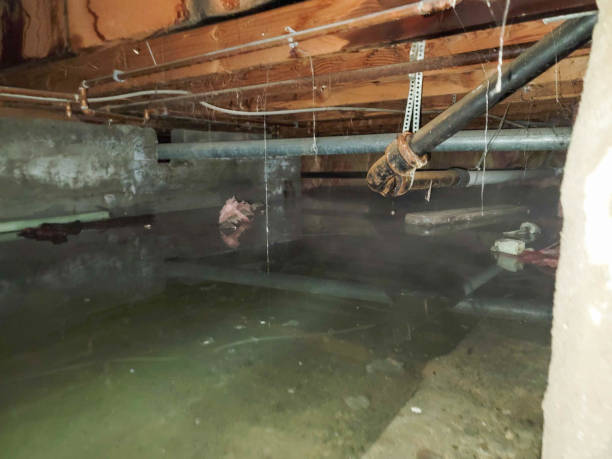 Professional Water damage restoration in CA