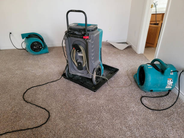 Carpet water damage restoration in CA