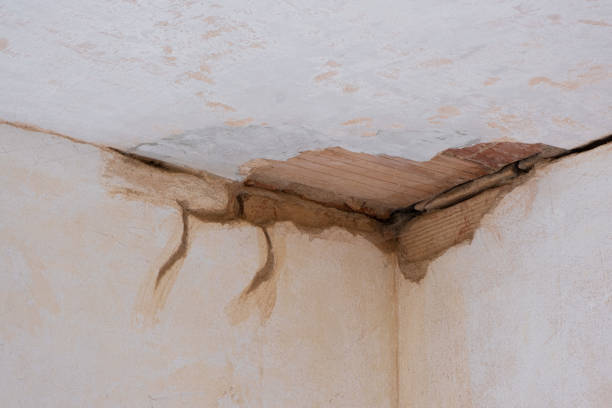 Best Emergency water damage restoration  in Tustin, CA