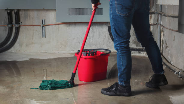 Best Carpet water damage restoration  in Tustin, CA