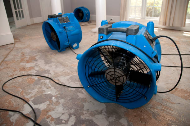 Best Flood restoration services  in Tustin, CA