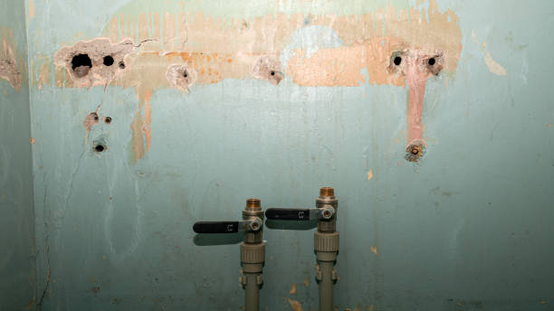 Best Water damage restoration experts  in Tustin, CA